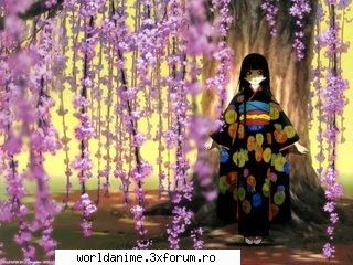 galerie foto