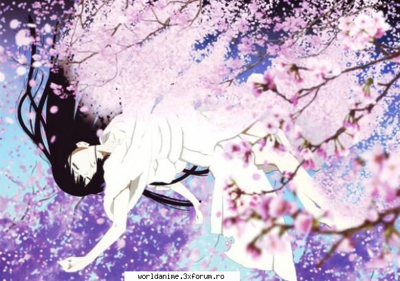 galerie foto