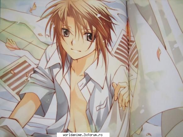 ayumu narumi