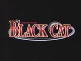 ~Black Cat~ - Kagome - Black cat