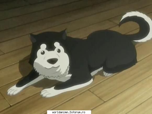 ~Black Hayate~ - e atat de sweet^.^..pozeeeee - Full Metal Alchemist