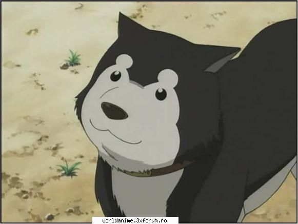 ~Black Hayate~ - ~ Lil Angel ~ - Full Metal Alchemist