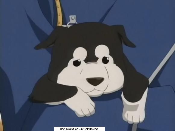 ~Black Hayate~ - ~ Lil Angel ~ - Full Metal Alchemist