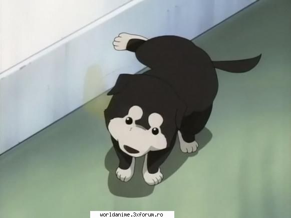 ~Black Hayate~ - ~ Lil Angel ~ - Full Metal Alchemist