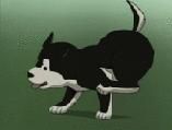 ~Black Hayate~ - ~ Lil Angel ~ - Full Metal Alchemist