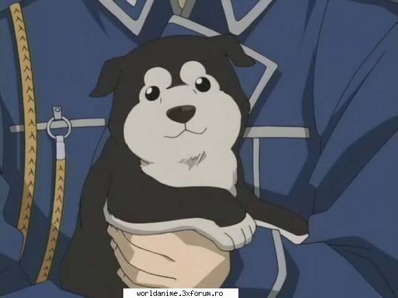 ~Black Hayate~ - ~ Lil Angel ~ - Full Metal Alchemist