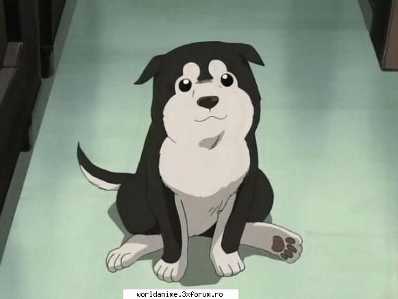 ~Black Hayate~ - ~ Lil Angel ~ - Full Metal Alchemist