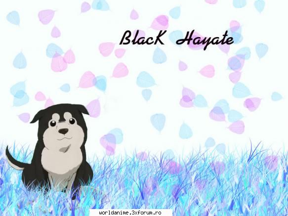 ~Black Hayate~ - ~ Lil Angel ~ - Full Metal Alchemist