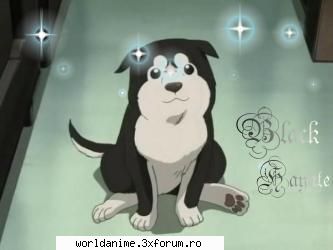 ~Black Hayate~ - ~ Lil Angel ~ - Full Metal Alchemist