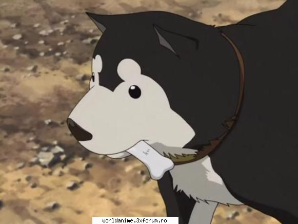 ~Black Hayate~ - ~ Lil Angel ~ - Full Metal Alchemist