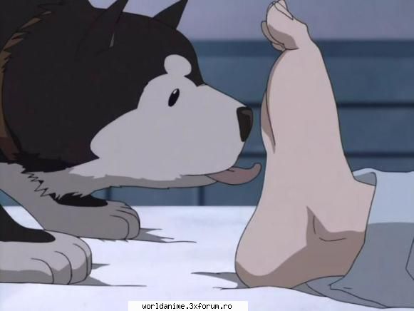 ~Black Hayate~ - ~ Lil Angel ~ - Full Metal Alchemist
