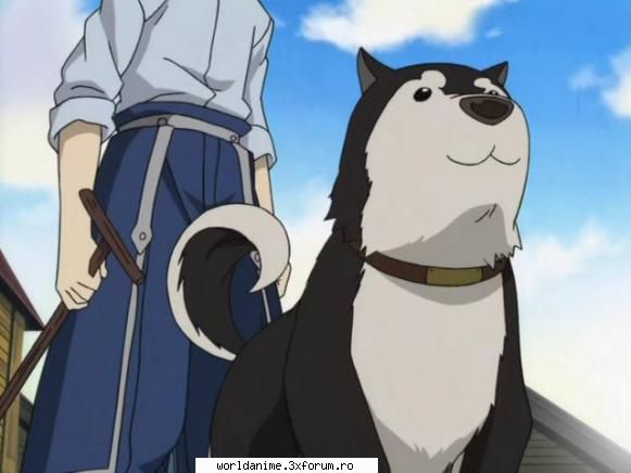 ~Black Hayate~ - ~ Lil Angel ~ - Full Metal Alchemist