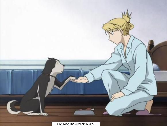 ~Black Hayate~ - ~ Lil Angel ~ - Full Metal Alchemist