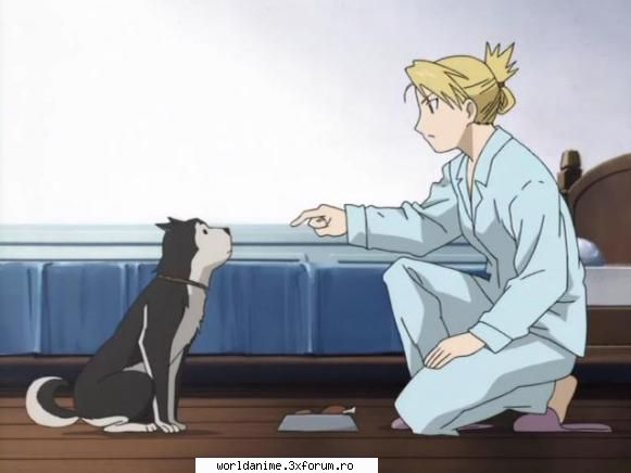 ~Black Hayate~ - ~ Lil Angel ~ - Full Metal Alchemist
