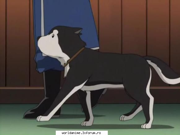 ~Black Hayate~ - ~ Lil Angel ~ - Full Metal Alchemist