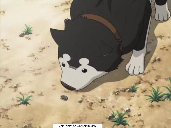 ~Black Hayate~ - ~ Lil Angel ~ - Full Metal Alchemist