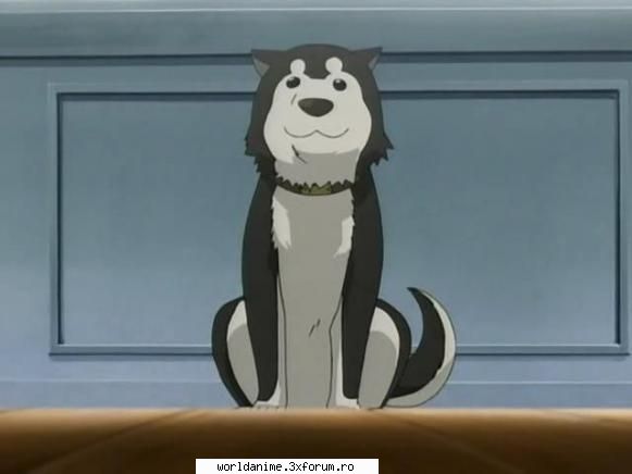 ~Black Hayate~ - ~ Lil Angel ~ - Full Metal Alchemist