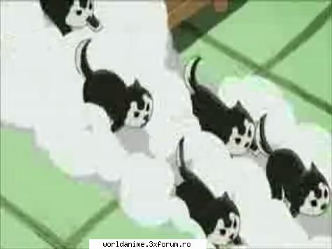 ~Black Hayate~ - ~ Lil Angel ~ - Full Metal Alchemist
