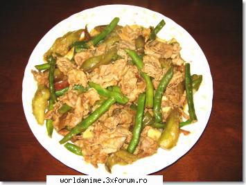 Bucataria Japoneza - Niku to nasu no itamemono ( carne de porc cu - Japonia