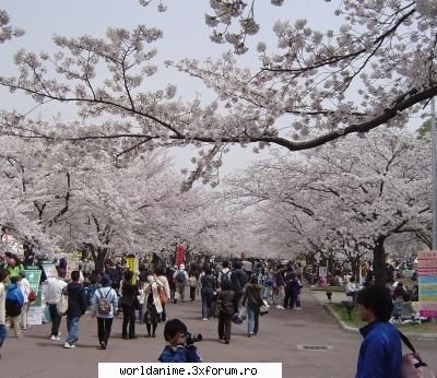 Despre japonia - ce kawaii oricum legendele si oezia japoneza nu - Japonia