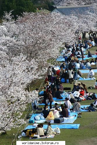 Despre japonia - sa mai pun kteva poze q japonia adik q fenomenul - Japonia