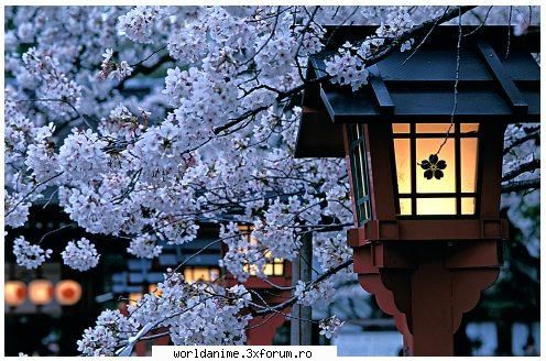 Despre japonia - iSeductress Kurenai - Japonia