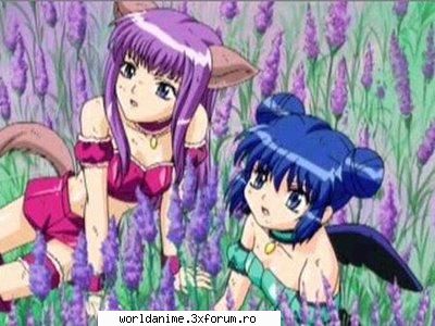 Galerie - ~##RiDeR##~ - Mew Mew Power