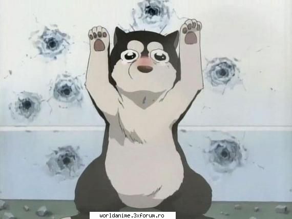 Galerie - ~##RiDeR##~ - Full Metal Alchemist