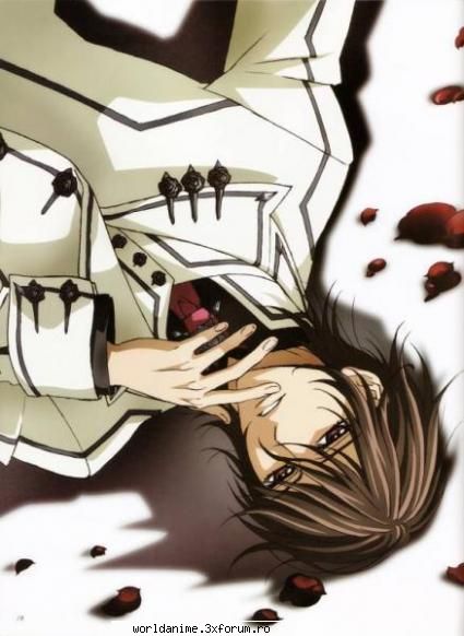 Galerie - dark_kitty - Vampire Knight