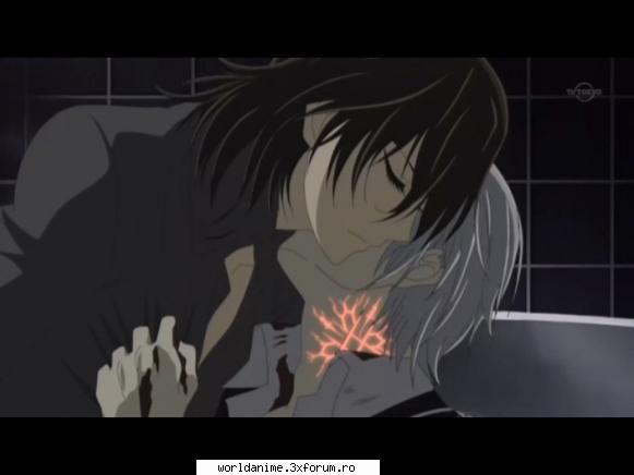Galerie - dark_kitty - Vampire Knight