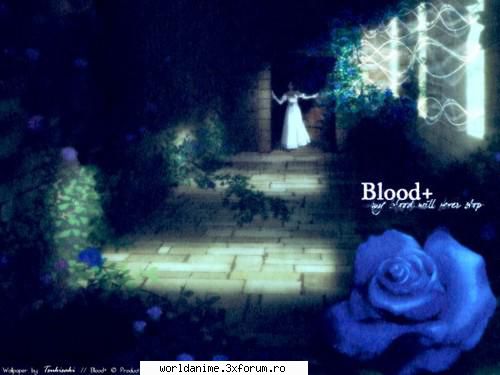 Galerie - →Calipso← - Blood +
