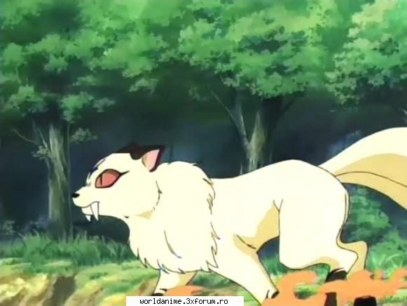 Kirara - Kagome - Inuyasha