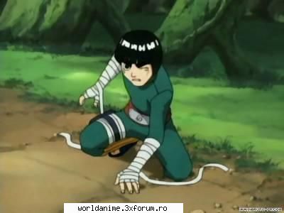 Lee - Kagome - Naruto