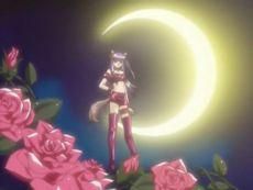 Mew Mew favorita - Reene...imi place personalitatea si costumul ei - Mew Mew Power