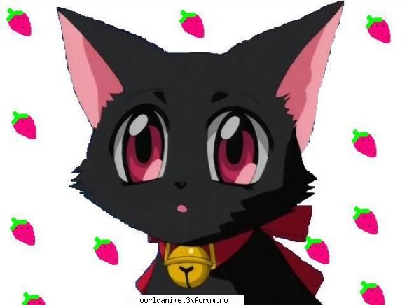 Neko ^_^ - E foarte sweet^_^ - Mew Mew Power