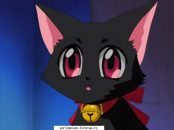 Neko ^_^ - ~ Lil Angel ~ - Mew Mew Power