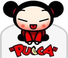 Pucca - Kagome - Alte non anime-uri