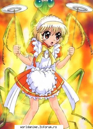 Pudding - Kagome - Mew Mew Power