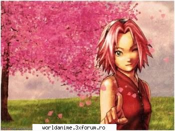 Sakura - o floare de cires! - Naruto
